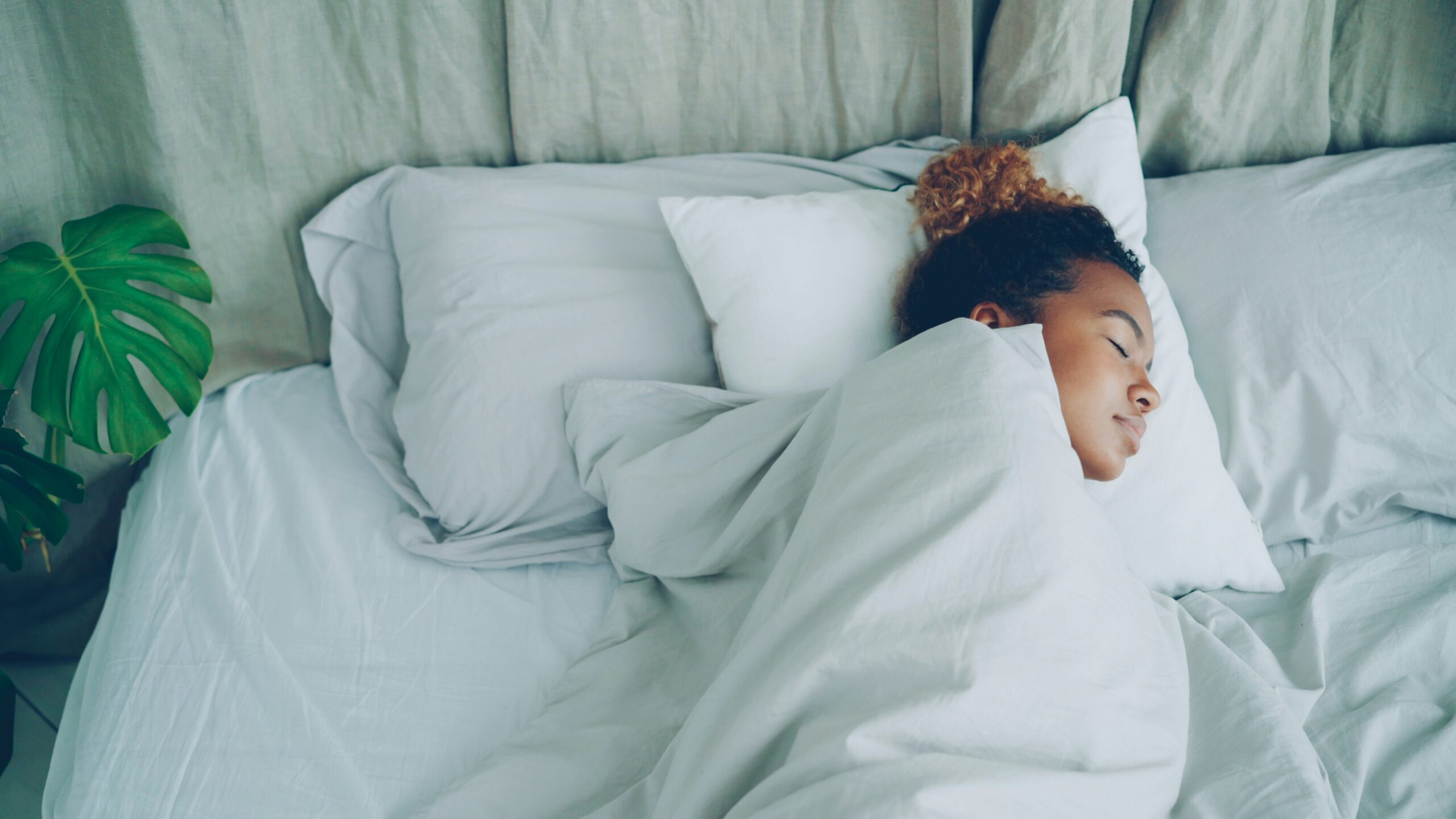 Sleep